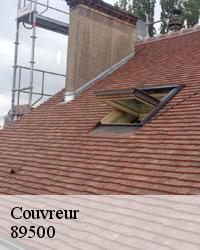 Le démoussage de la toiture à Les Bordes dans le 89500