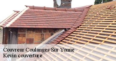 Les opérations de traitement antimousses pour les toits des maisons à Coulanges Sur Yonne