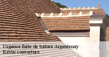 À qui peut-on confier les travaux d'urgence pour les fuites sur les toits des maisons à Argentenay ?