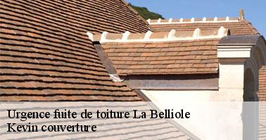 À qui peut-on confier les travaux d'urgence pour les fuites sur les toits des maisons à La Belliole ?