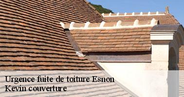 À qui peut-on confier les travaux d'urgence pour les fuites sur les toits des maisons à Esnon ?