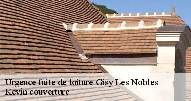 Comment prévenir les chutes d'éléments de la toiture lors des urgences de fuites de toit à Gisy Les Nobles?