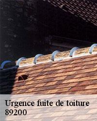 Comment prévenir les chutes d'éléments de la toiture lors des urgences de fuites de toit à Sauvigny Le Bois?