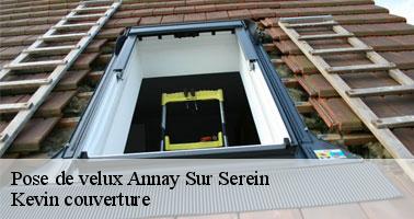 Qui peut effectuer les travaux de mise en place des fenêtres de toit à Annay Sur Serein?