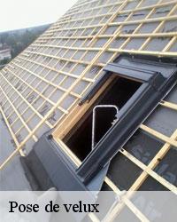 Qui peut effectuer les travaux de mise en place des fenêtres de toit à Blannay?