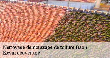 Le traitement de votre toiture à Baon avec des produits de qualité