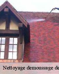 La préservation de l'éclat de la maison et le nettoyage de la toiture à Brannay