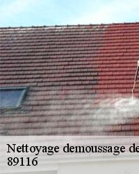 La préservation de l'éclat de la maison et le nettoyage de la toiture à La Celle Saint Cyr