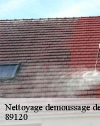La préservation de l'éclat de la maison et le nettoyage de la toiture à Chambeugle