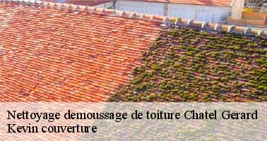 Ce qu'il faut savoir sur les travaux de démoussage de la toiture à Chatel Gerard dans le 89310 et ses environs