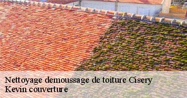 Le traitement de votre toiture à Cisery avec des produits de qualité