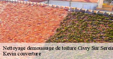 Des prestations de qualité à des tarifs pas chers pour le nettoyage et le démoussage de toit à Civry Sur Serein