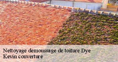 Des prestations de qualité à des tarifs pas chers pour le nettoyage et le démoussage de toit à Dye