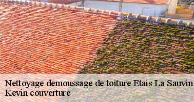 La préservation de l'éclat de la maison et le nettoyage de la toiture à Etais La Sauvin