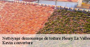 Ce qu'il faut savoir sur les travaux de démoussage de la toiture à Fleury La Vallee dans le 89113 et ses environs