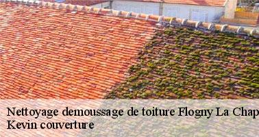 Le démoussage de la toiture : une spécialité de Kevin couverture à Flogny La Chapelle