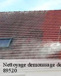 Pourquoi confier à des professionnels les travaux de nettoyage des toits à Perreuse dans le 89520?
