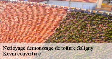 Ce qu'il faut savoir sur les travaux de démoussage de la toiture à Saligny dans le 89100 et ses environs 