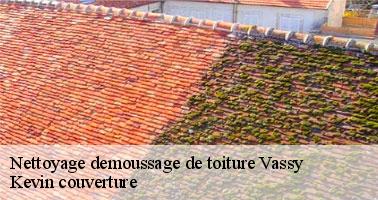 Ce qu'il faut savoir sur les travaux de démoussage de la toiture à Vassy dans le 89420 et ses environs 