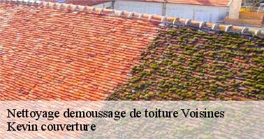 Ce qu'il faut savoir sur les travaux de démoussage de la toiture à Voisines dans le 89260 et ses environs 