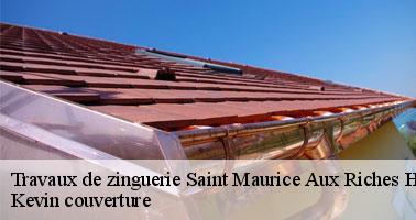 Qui peut installer les chéneaux à Saint Maurice Aux Riches Hommes dans le 89190?